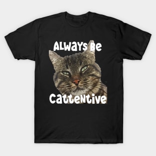 Always Be Cattentive Fun Pun Quote T-Shirt